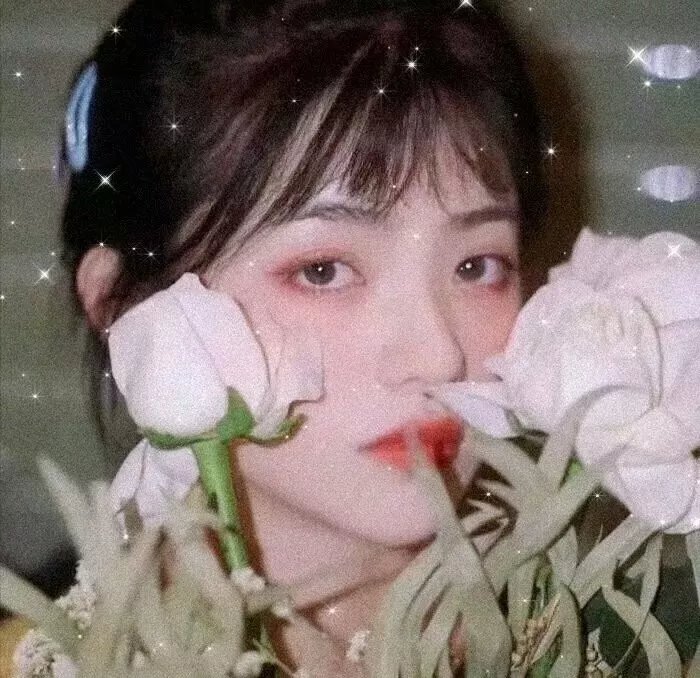 姐妹情深